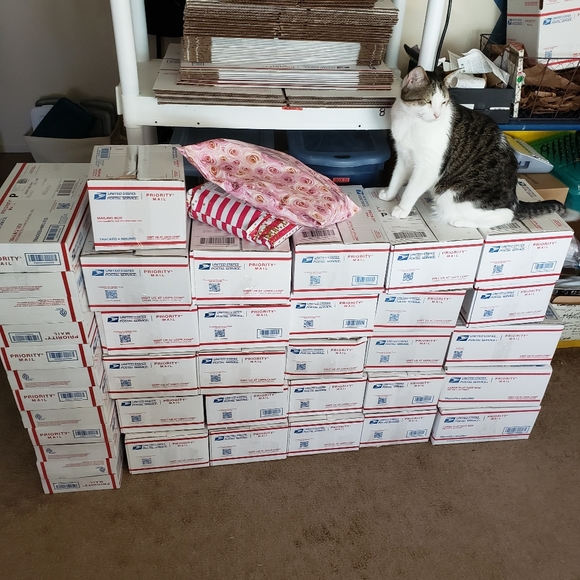 Jrzyposhpicks - Picture 4 of 4